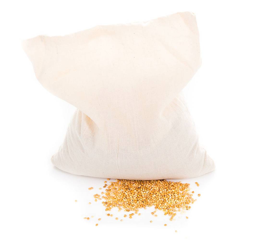 Hirsekissen im Wärmetier Baby Leopard