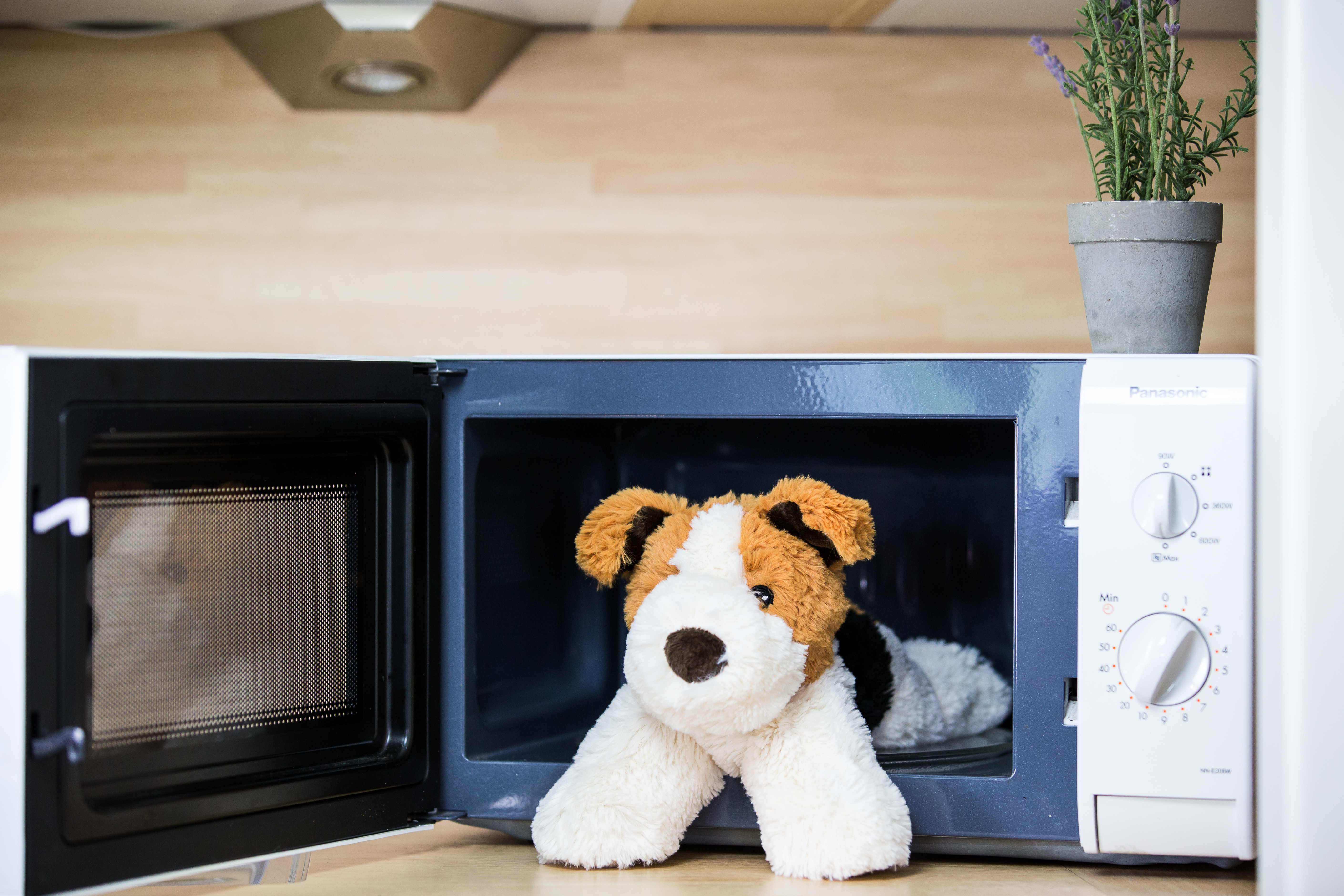 1627-Terrier-Mikrowelle Habibi Wärmetier Terrier